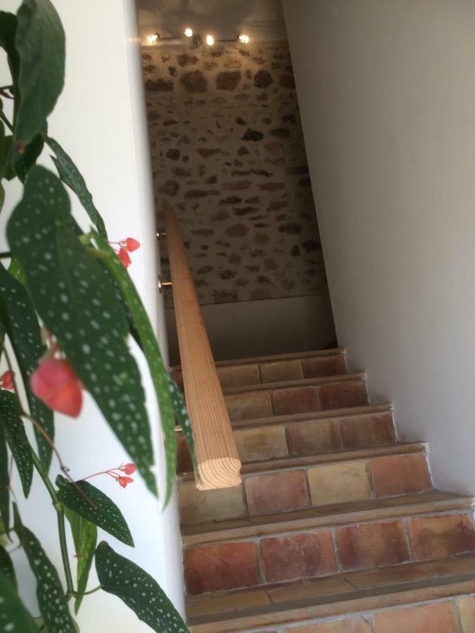 Domaine De Camp Joyeux Apartment Puget-Ville ภายนอก รูปภาพ