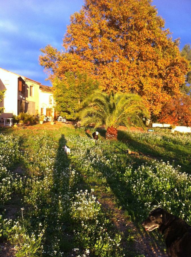 Domaine De Camp Joyeux Apartment Puget-Ville ภายนอก รูปภาพ