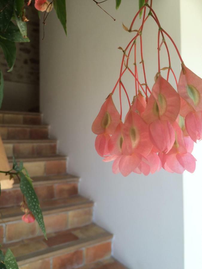 Domaine De Camp Joyeux Apartment Puget-Ville ภายนอก รูปภาพ